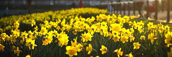 Check out our mixed bag of newies 😍