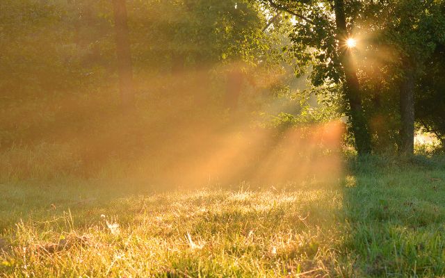 This too shall pass.