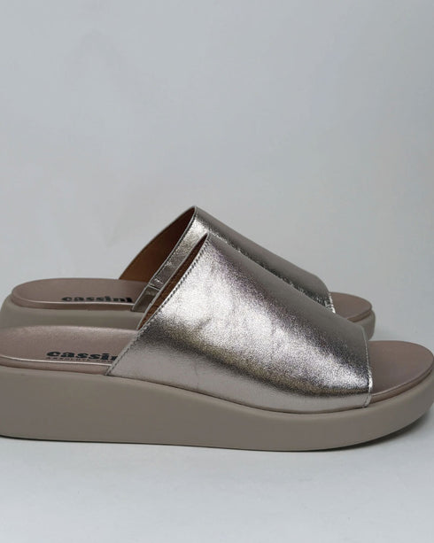 Cassini Magnify Slide - Champagne