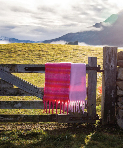Elm Sunrise Scarf - Pink Check