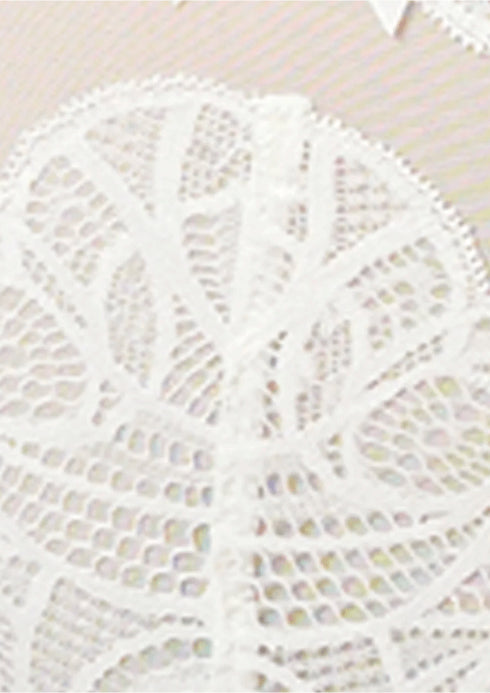 Sans Complexe Ariane Lace Brazilian Cut Brief - Ivory