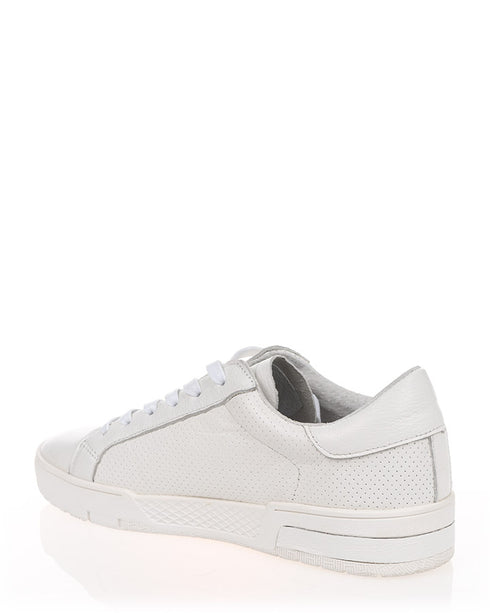 Skinside Out Queen White Lace up Sneaker