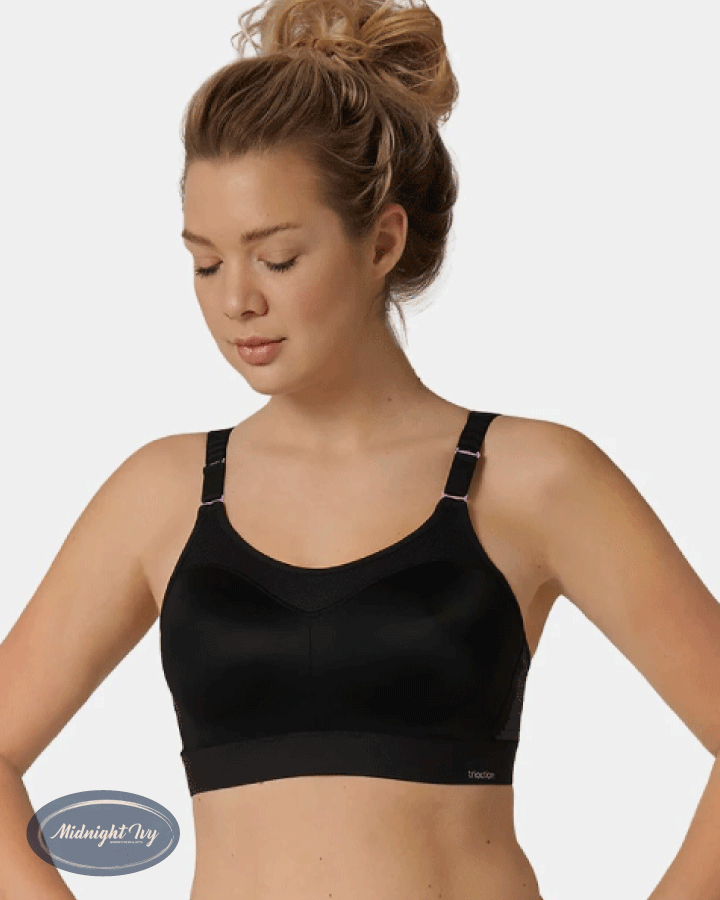 Triumph 2024 triaction control